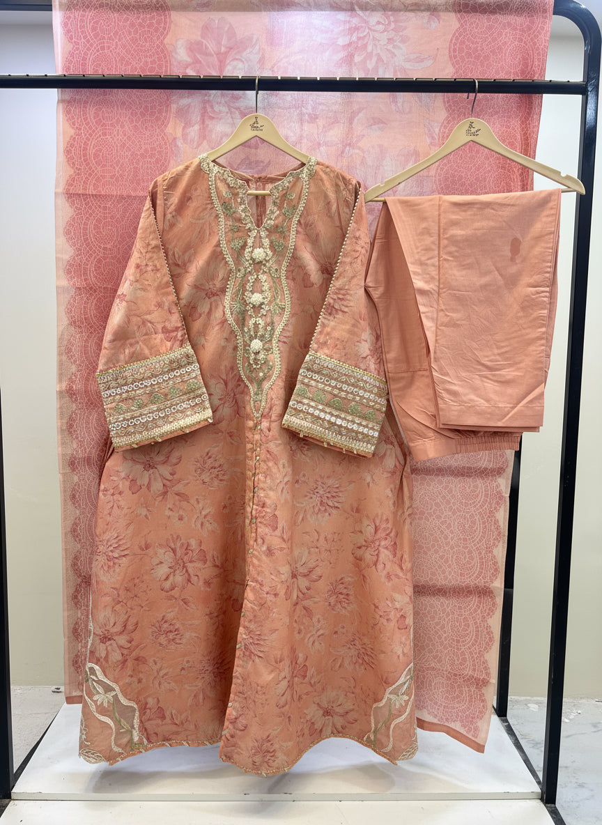 Ammara long Frock D-01